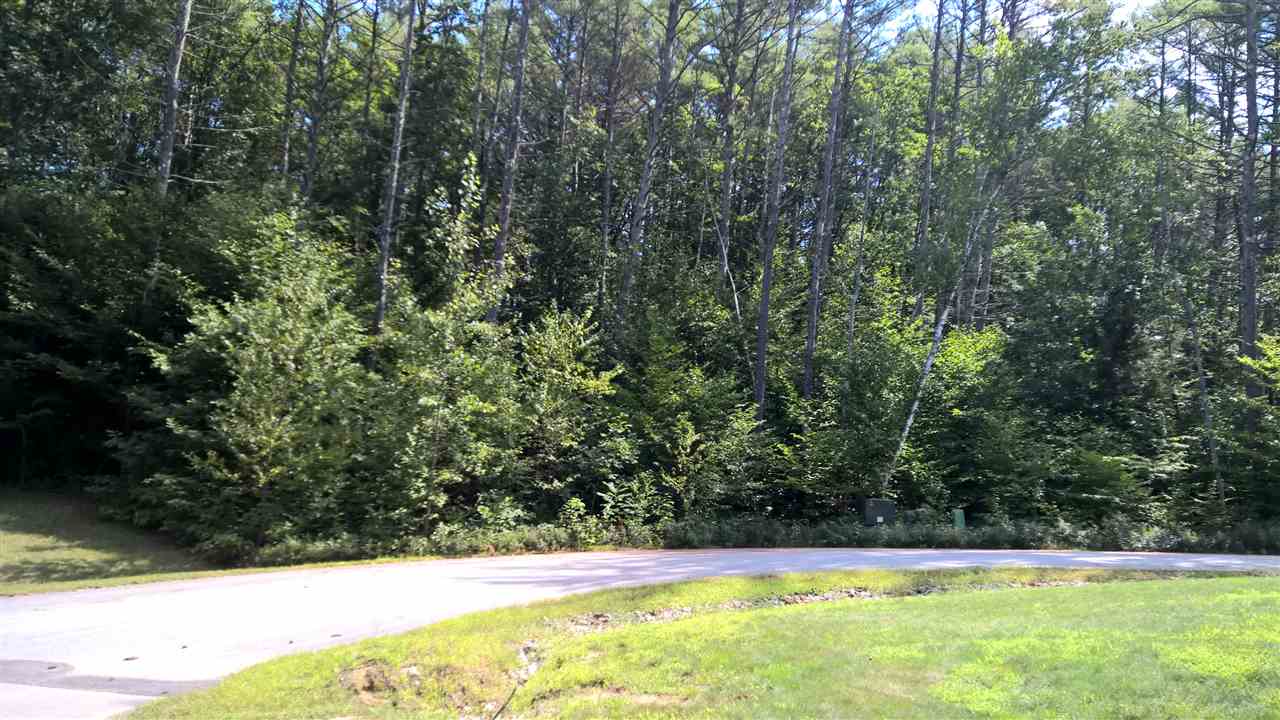 Lot 12 Bellarose Road New Hampton, NH 03256 - Photo 7 of 7