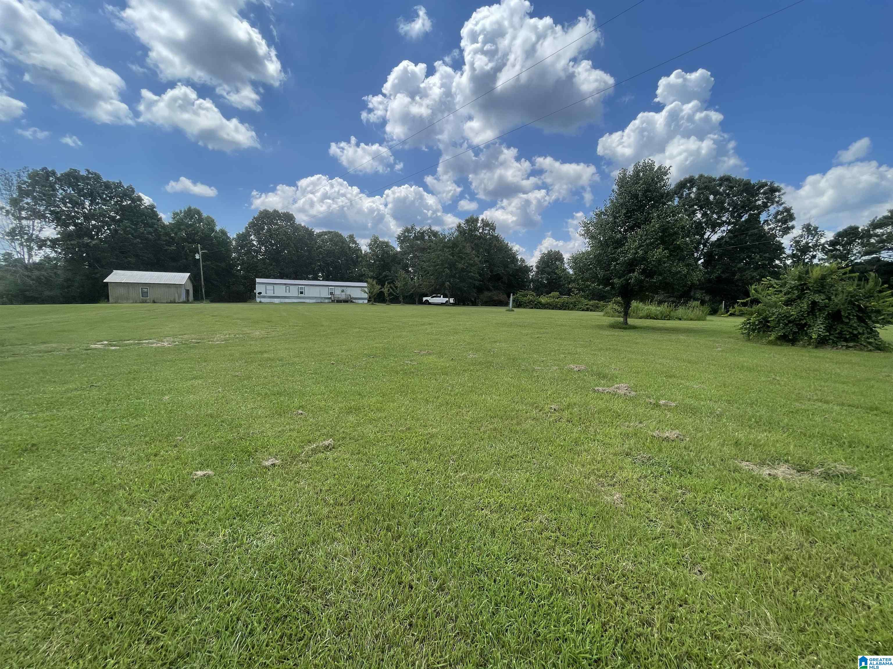 10505 County Road 59 Centre, AL 35960 - Photo 12 of 19