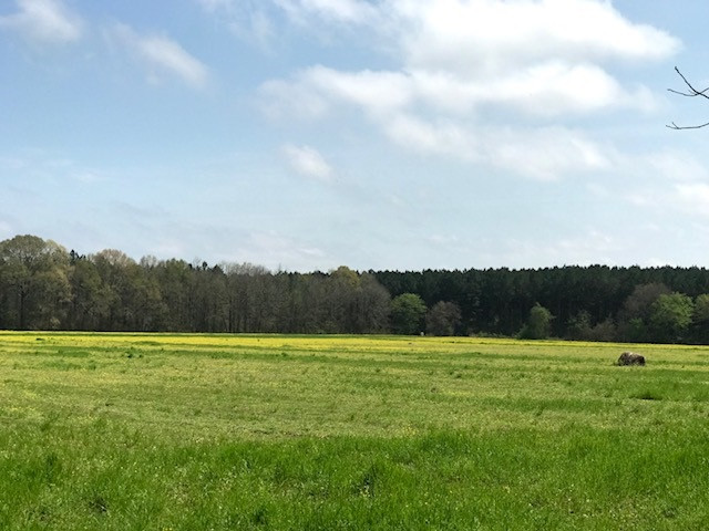 2 Stump Ridge Road, Unit 2 Brandon, MS 39047 - Photo 1 of 1 Photo 1
