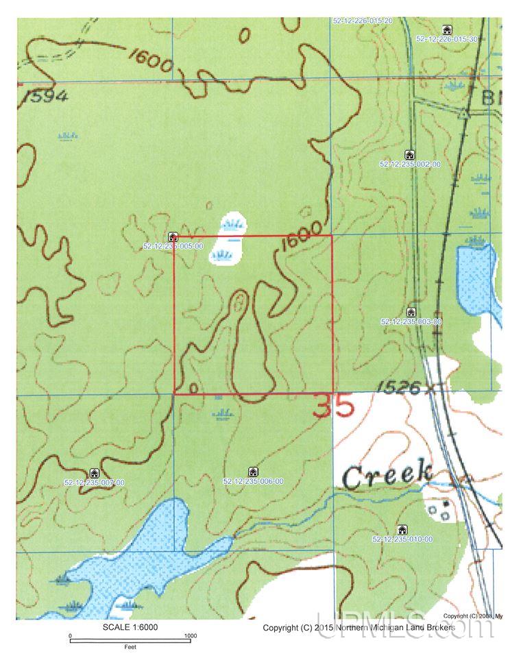 40 Grant Lake Road Champion, MI 49814 - Photo 9 of 13