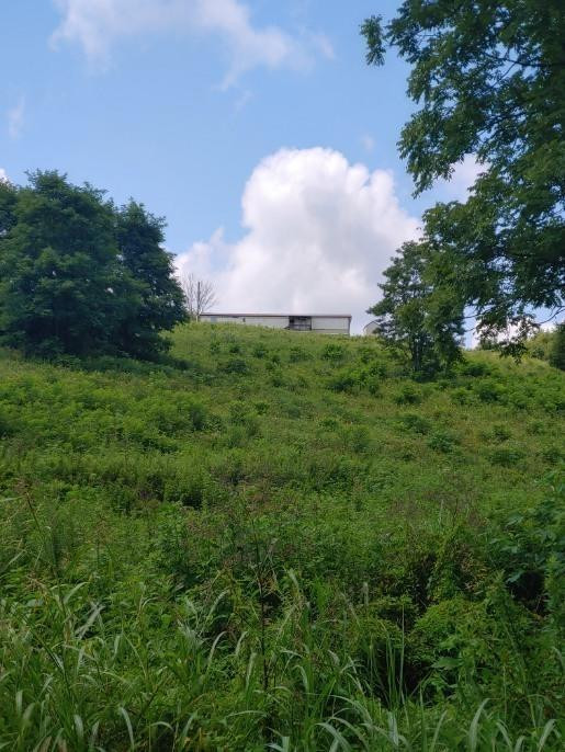 3294 Upper Concord Road Carlisle, KY 40311 - Photo 37 of 37 Photo 37