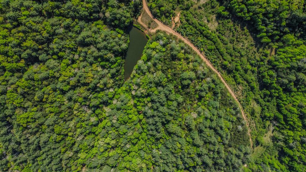 40-ac #1 40-ac Road Mineral Bluff, GA 30559 - Photo 10 of 35 Gallery Image 10