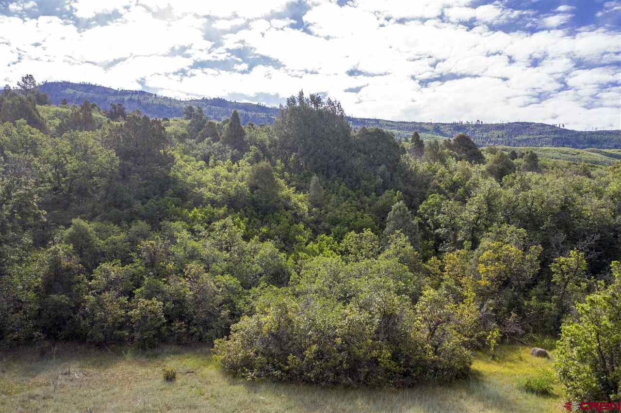 4113 Elkhorn Mountain Road Durango, CO 81301 - Photo 11 of 23 Gallery Image 11