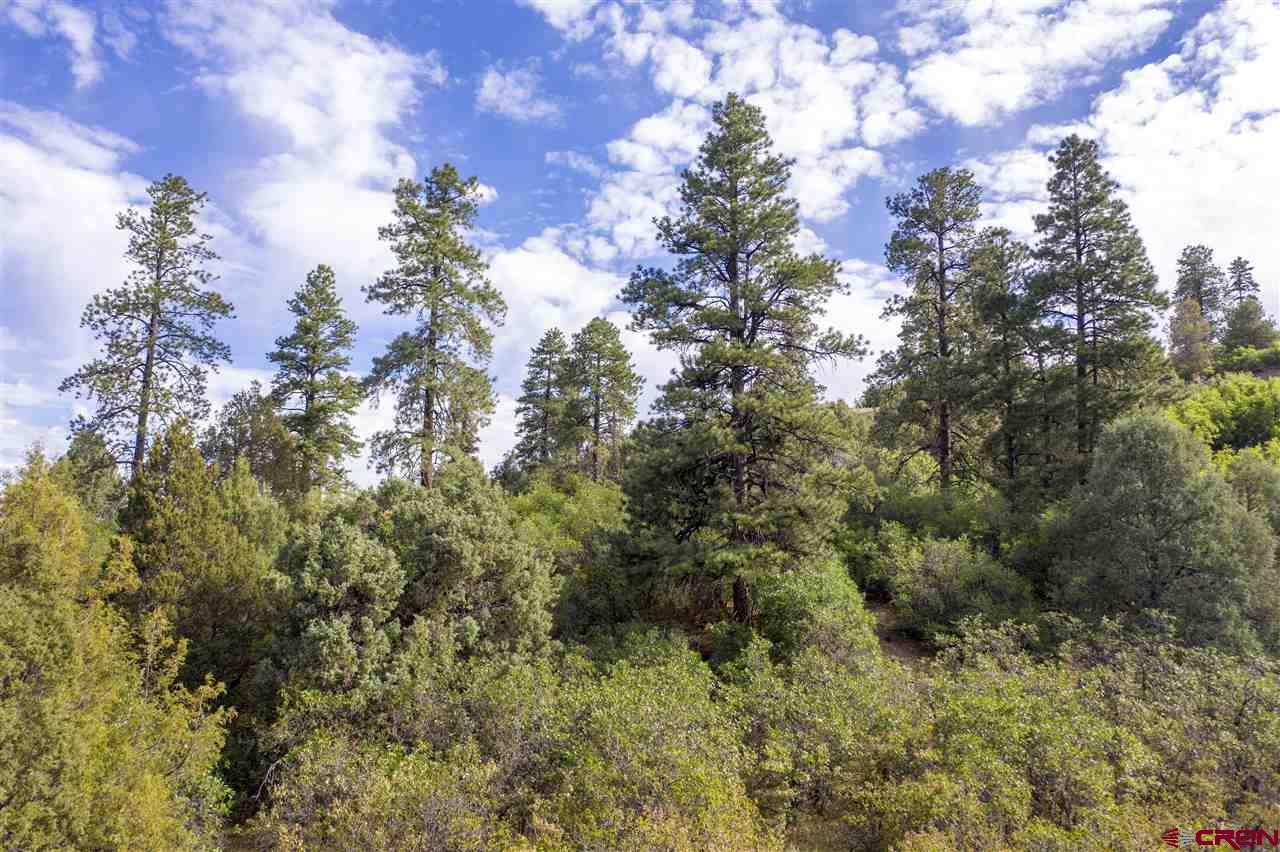 4113 Elkhorn Mountain Road Durango, CO 81301 - Photo 12 of 23 Gallery Image 12