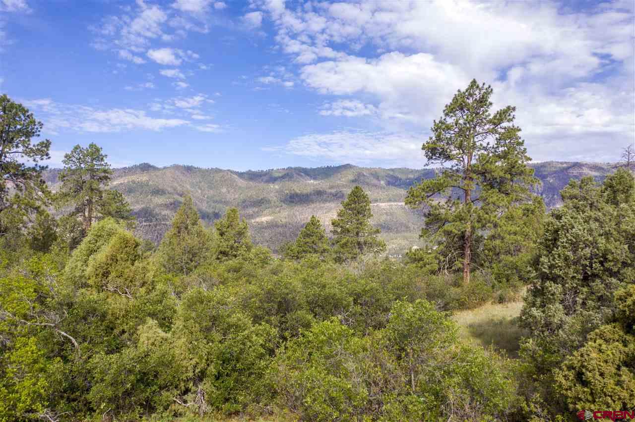 4113 Elkhorn Mountain Road Durango, CO 81301 - Photo 13 of 23 Gallery Image 13