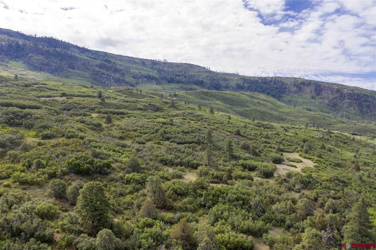 4113 Elkhorn Mountain Road Durango, CO 81301 - Photo 15 of 23 Gallery Image 15