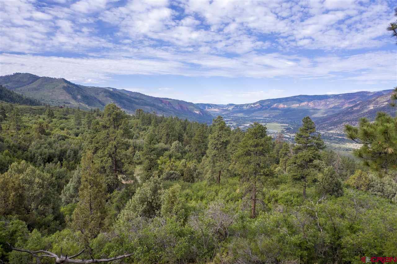 4113 Elkhorn Mountain Road Durango, CO 81301 - Photo 17 of 23 Gallery Image 17