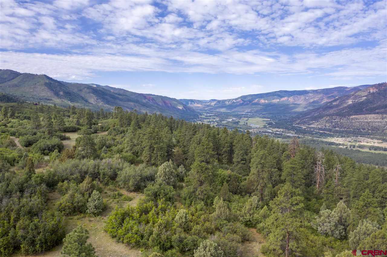 4113 Elkhorn Mountain Road Durango, CO 81301 - Photo 18 of 23 Gallery Image 18