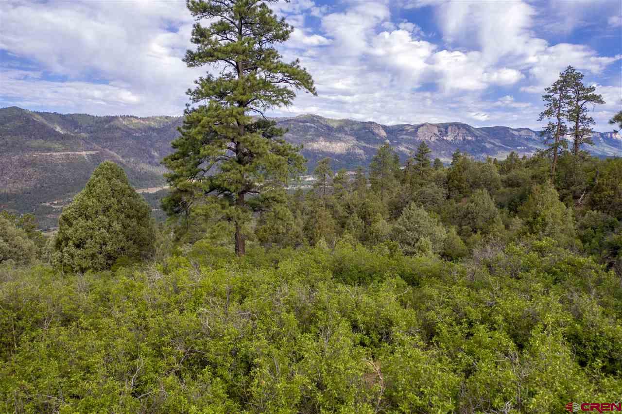 4113 Elkhorn Mountain Road Durango, CO 81301 - Photo 19 of 23 Gallery Image 19