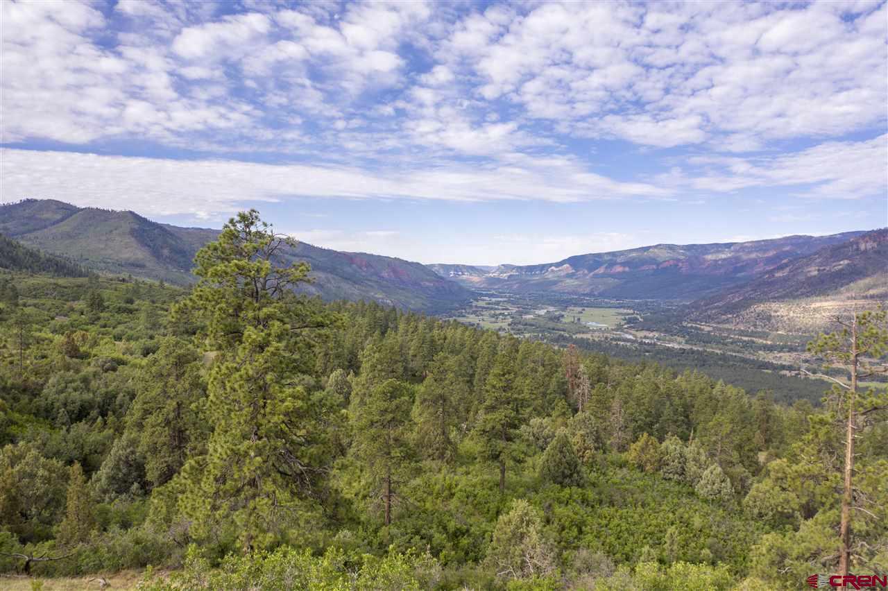4113 Elkhorn Mountain Road Durango, CO 81301 - Photo 21 of 23 Gallery Image 21