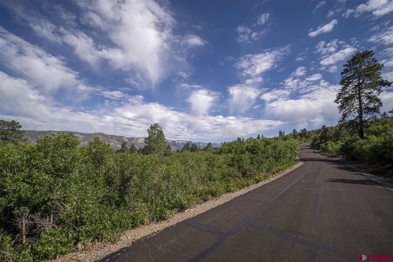 4113 Elkhorn Mountain Road Durango, CO 81301 - Photo 23 of 23 Gallery Image 23