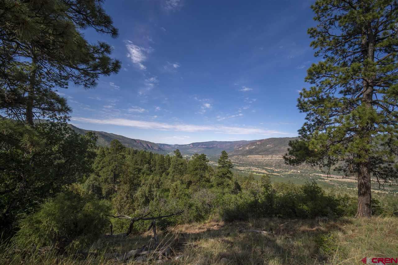 4113 Elkhorn Mountain Road Durango, CO 81301 - Photo 4 of 23 Gallery Image 4