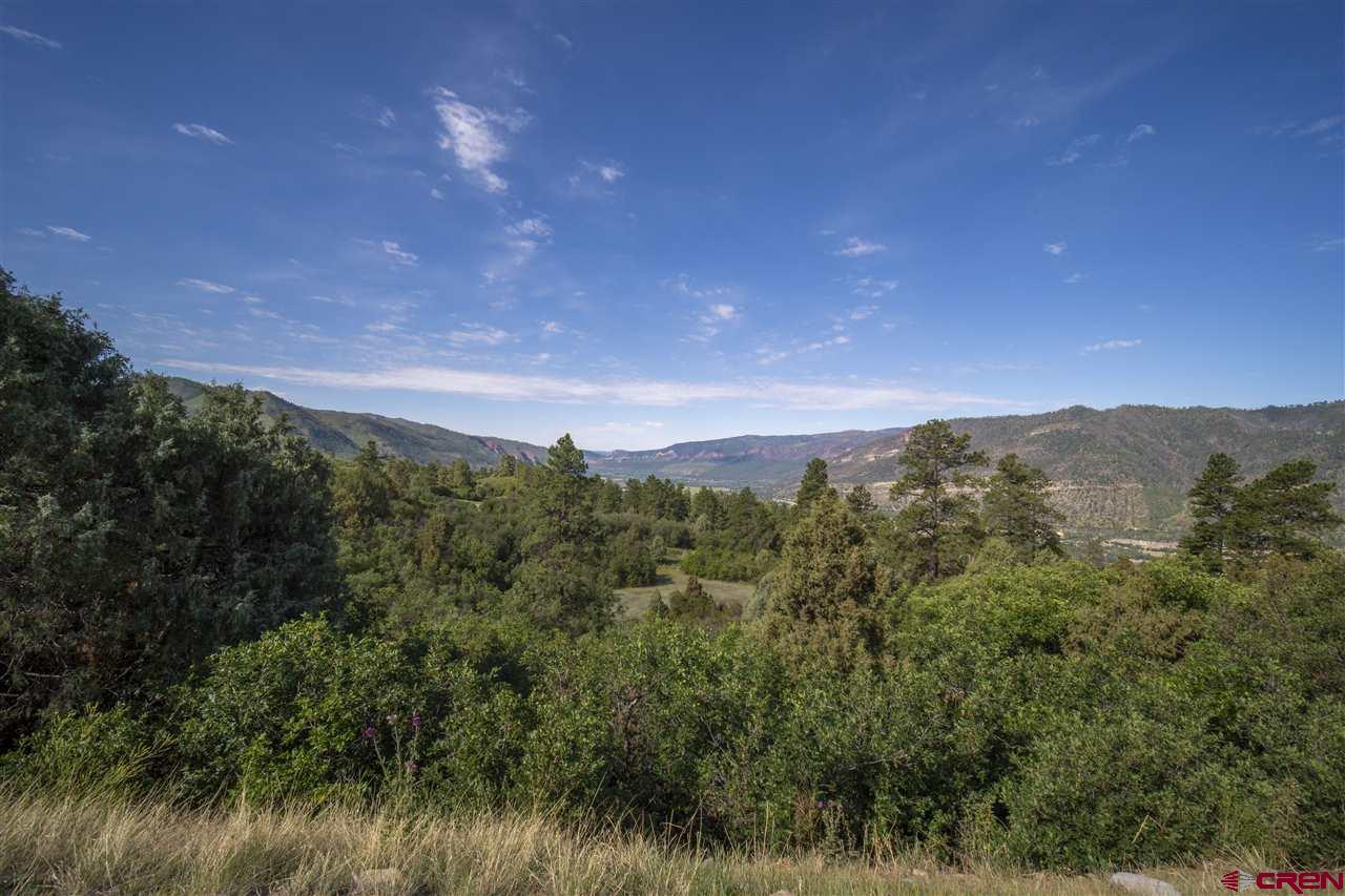 4113 Elkhorn Mountain Road Durango, CO 81301 - Photo 5 of 23 Gallery Image 5