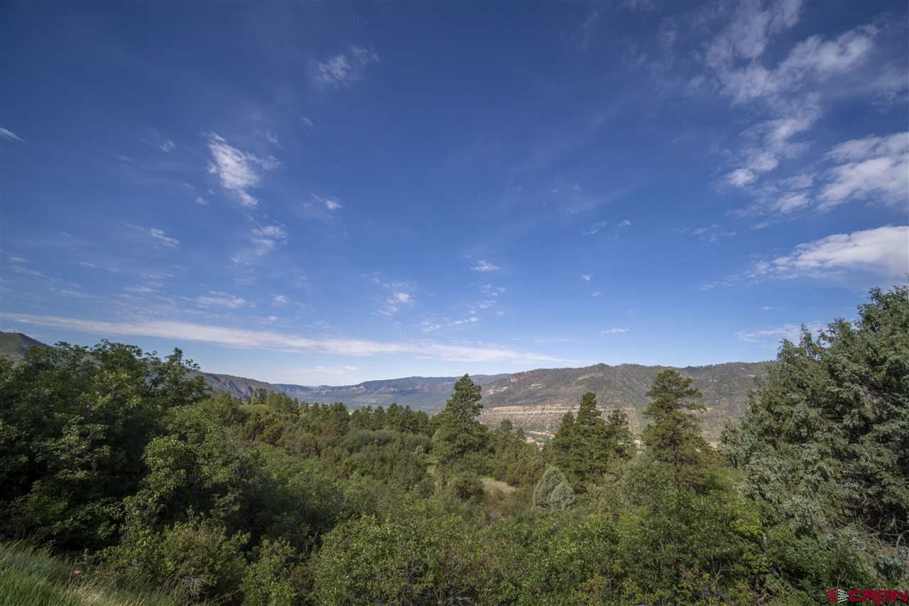 4113 Elkhorn Mountain Road Durango, CO 81301 - Photo 6 of 23 Gallery Image 6