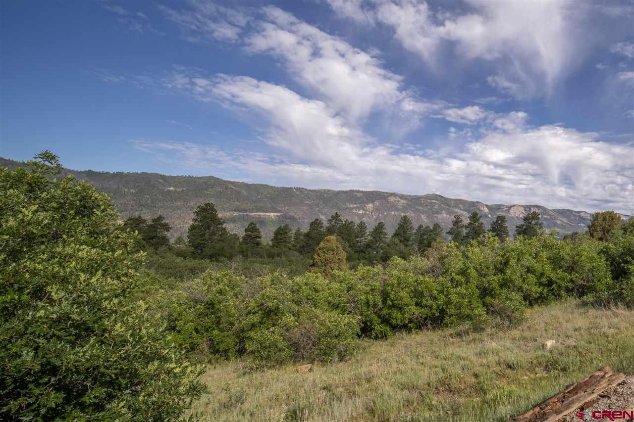 4113 Elkhorn Mountain Road Durango, CO 81301 - Photo 7 of 23 Gallery Image 7