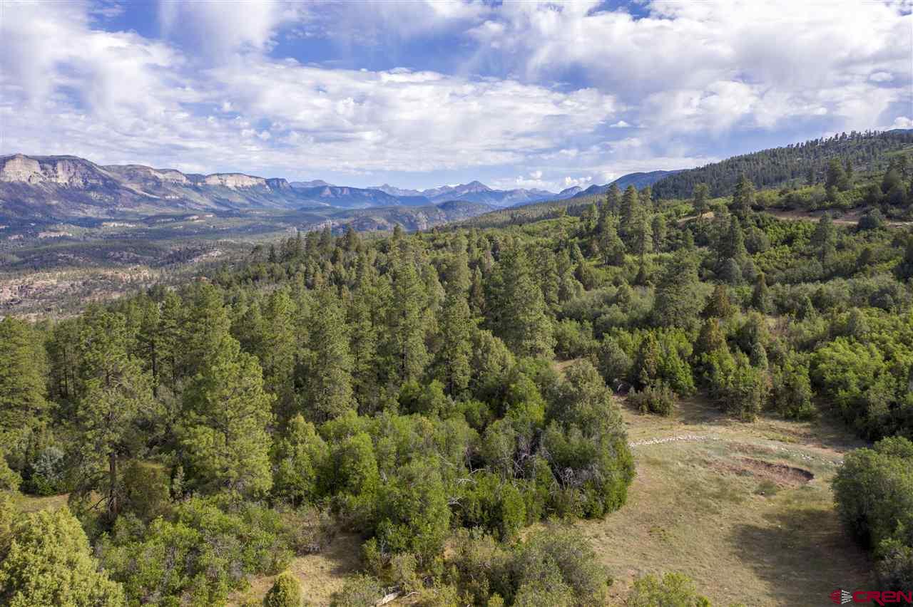 4113 Elkhorn Mountain Road Durango, CO 81301 - Photo 9 of 23 Gallery Image 9