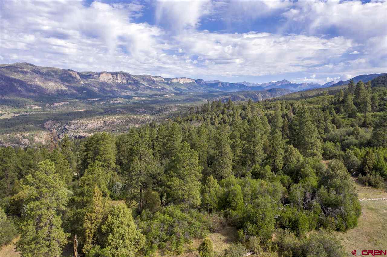 4113 Elkhorn Mountain Road Durango, CO 81301 - Photo 10 of 23 Gallery Image 10