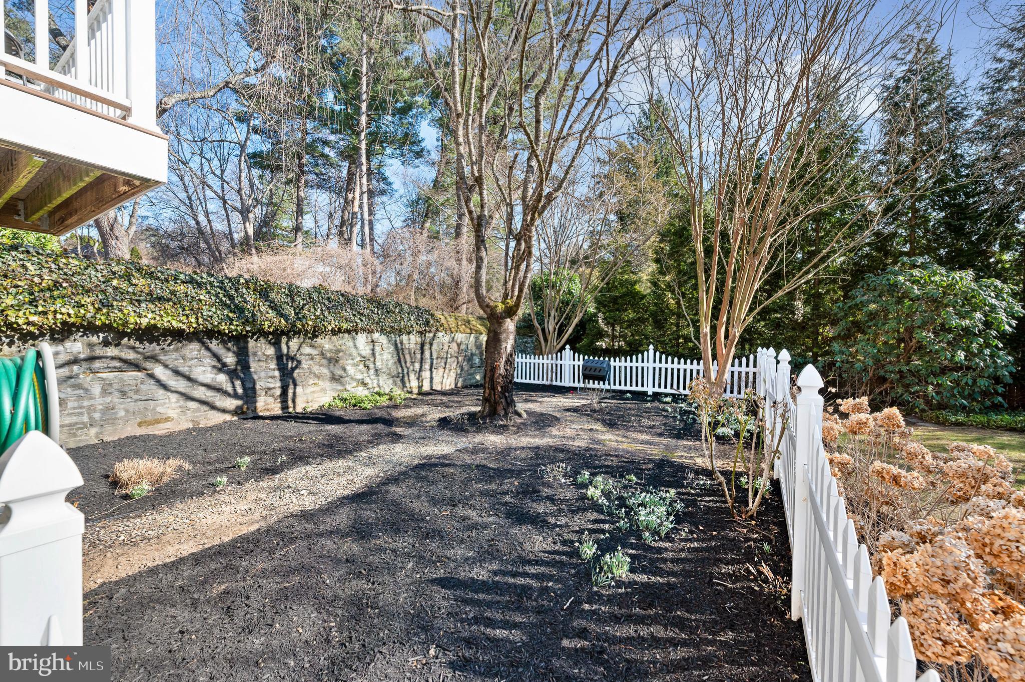 603 Foxfields Road Bryn Mawr, PA 19010 - Photo 46 of 51 a view of a yard with large trees