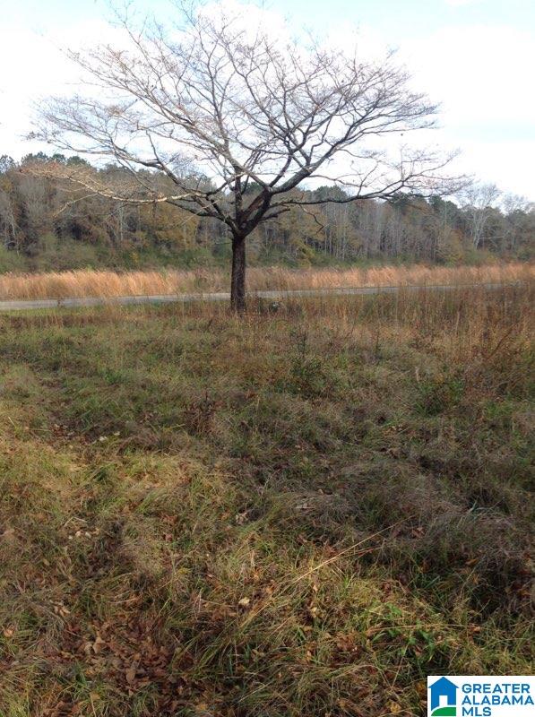 0 Lister Ferry Road, Unit 1 Gadsden, AL 35907 - Photo 20 of 30