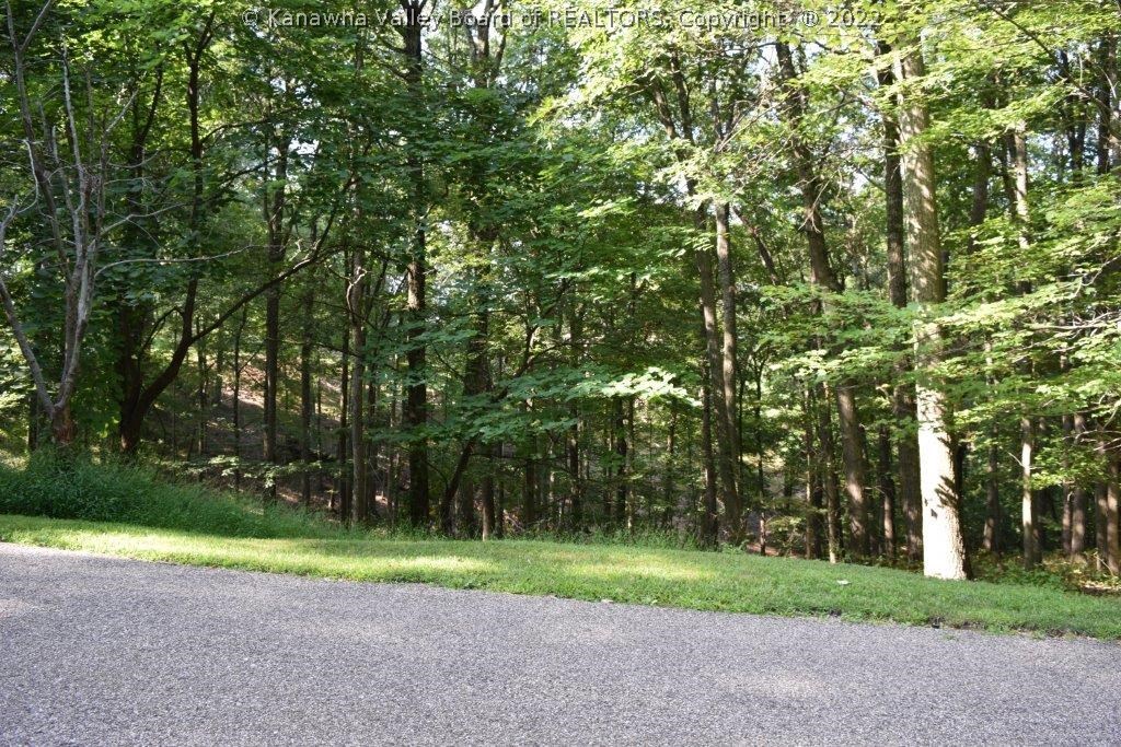 0 Foxchase Road Charleston, WV 25304 - Photo 3 of 7 Gallery Image 3