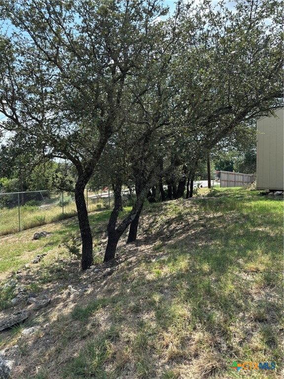902 Tank Street Copperas Cove, TX 76522 - Photo 27 of 27 a view of a yard with a tree