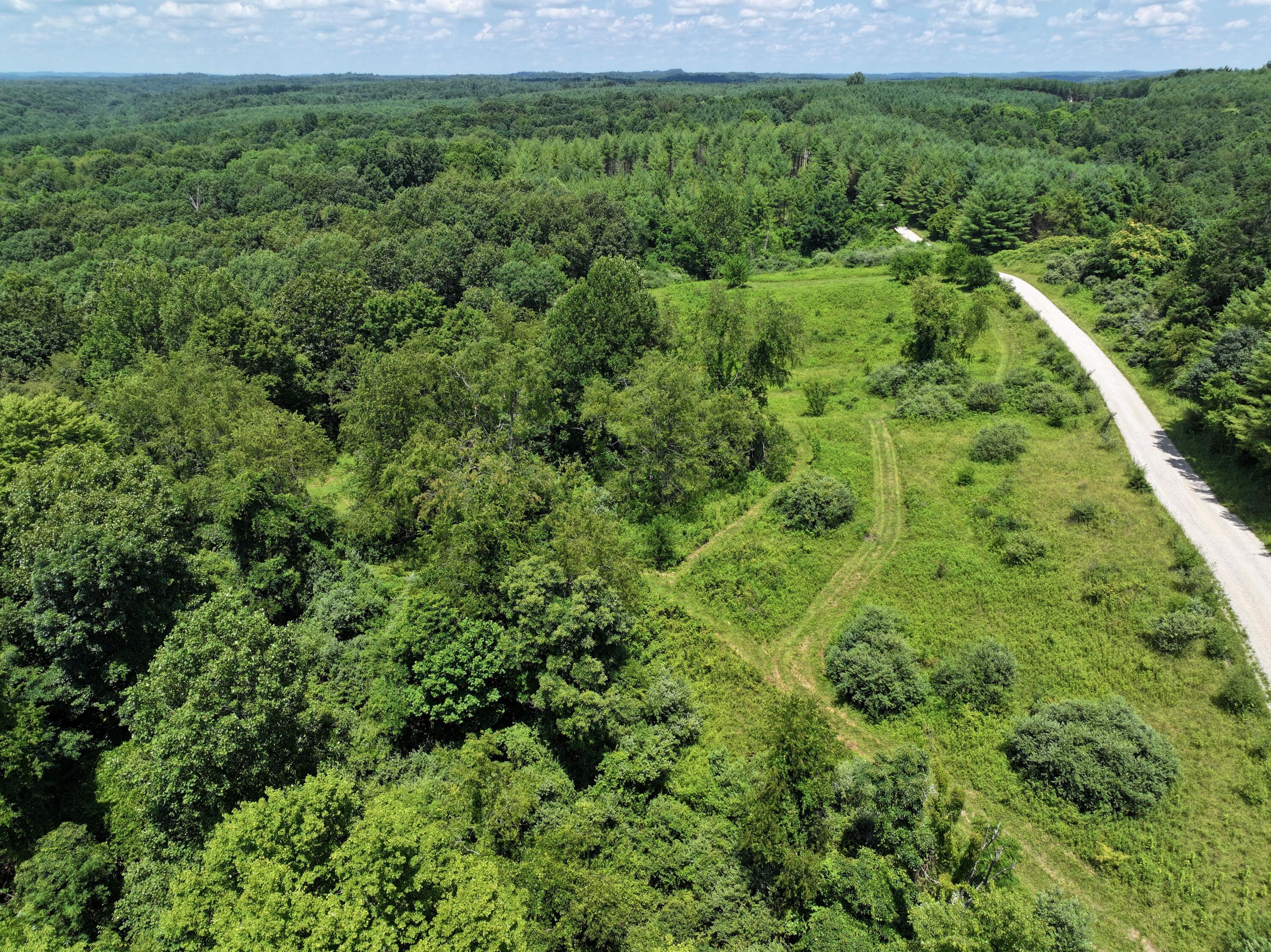 5055 Early Ridge Road McConnelsville, OH 43756 - Photo 10 of 45 1b
