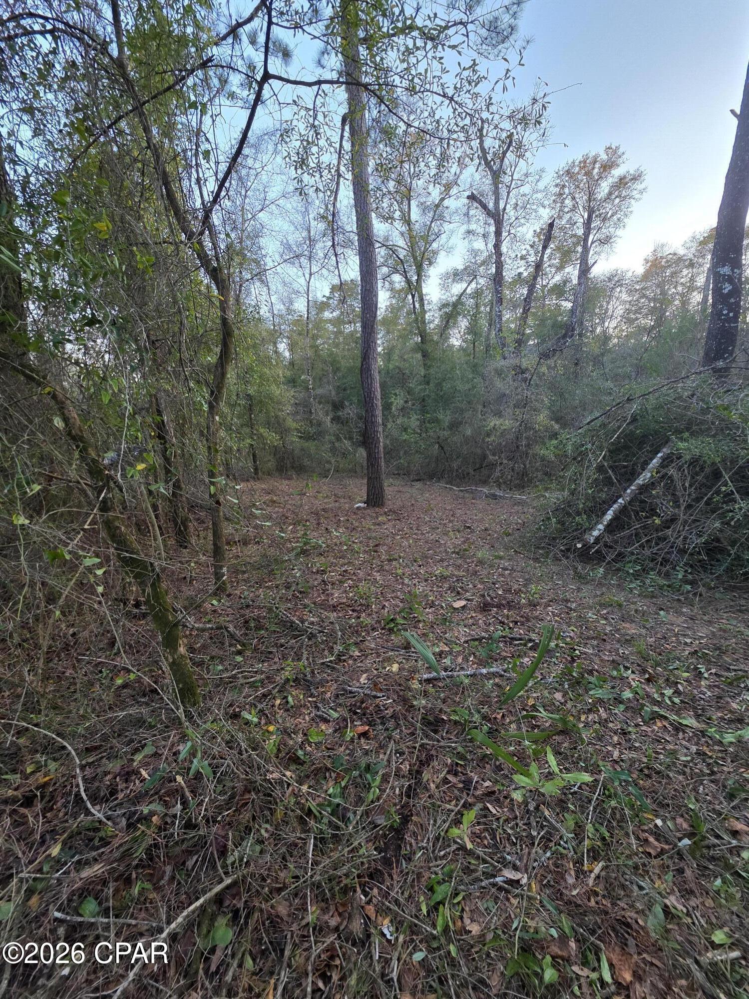 Lot 7 Pine Log Road Chipley, FL 32428 - Photo 2 of 4 Gallery Image 2