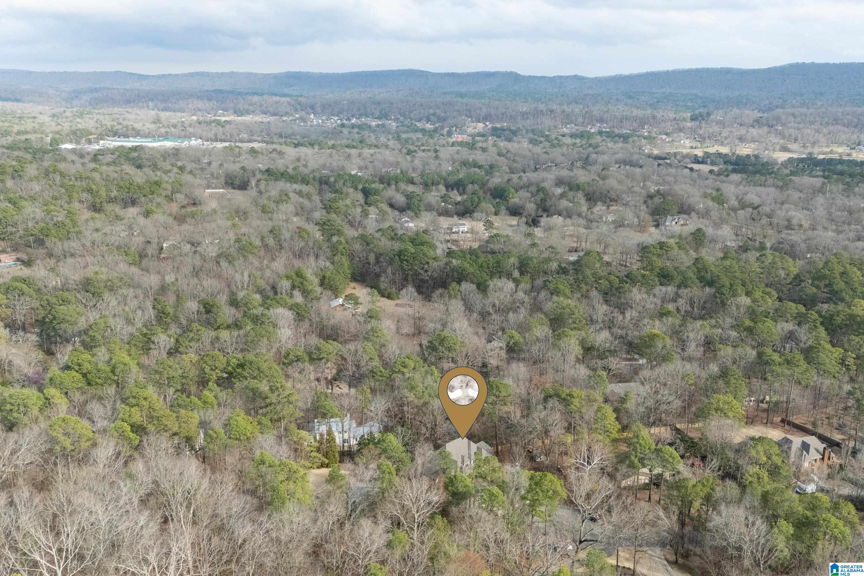 146 Foxfire Circle Pelham, AL 35124 - Photo 84 of 91