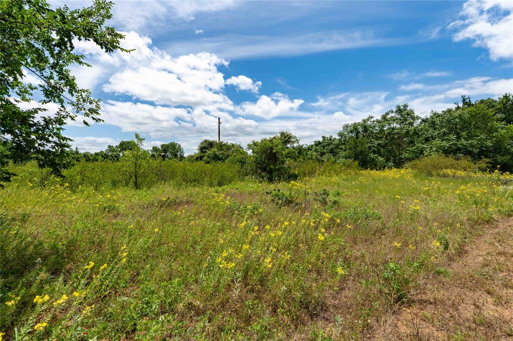 Tbd 3rd Street Bridgeport, TX 76426 - Photo 9 of 13