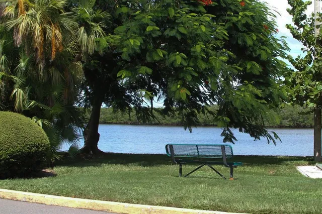 a view of a bench in the garden near a lake