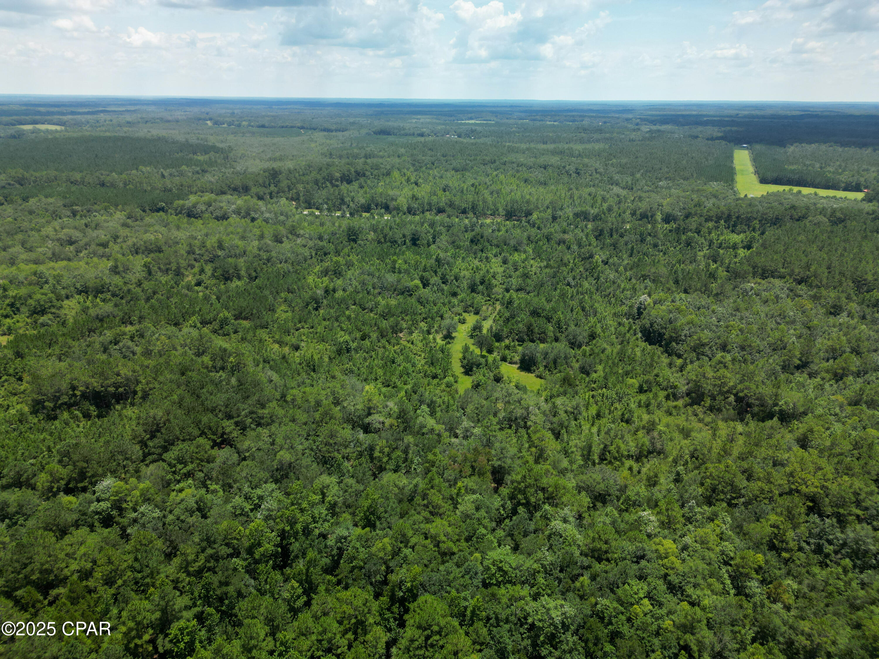 0 Us-90 Bonifay, FL 32425 - Photo 19 of 22