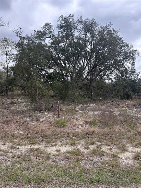 8 Southwest Winding Hills Road Dunnellon, FL 34431 - Photo 1 of 1 Gallery Image 1