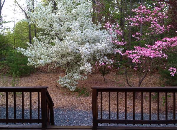 37 Townline Road Franklin, MA 02038 - Photo 29 of 30 Gallery Image 29