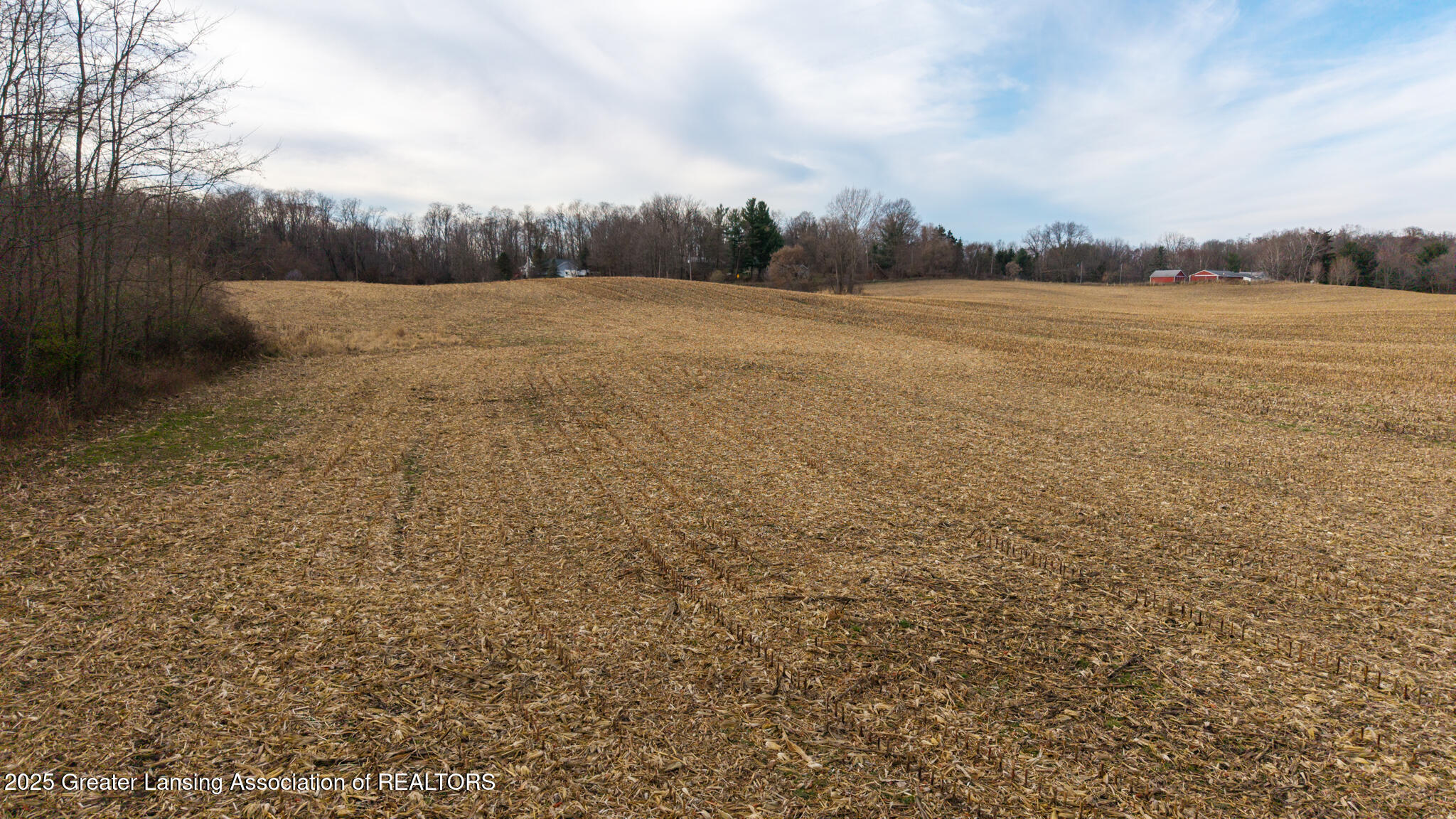 Vl Windsor Highway Dimondale, MI 48821 - Photo 20 of 31 Windsor_Hwy_37_ACRE_BROCK-20