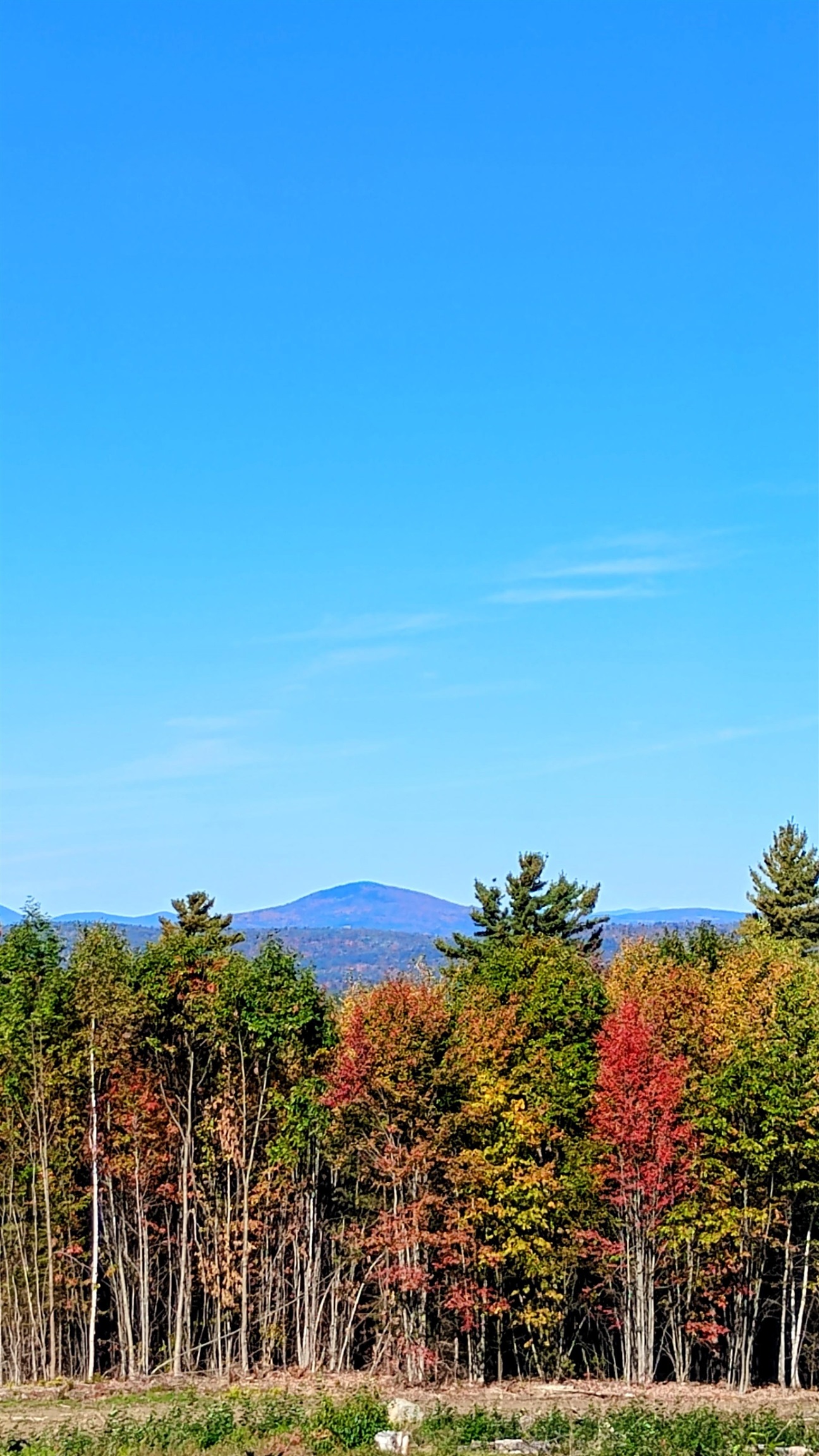 947 Foster Hill Road Landaff, NH 03585 - Photo 58 of 60