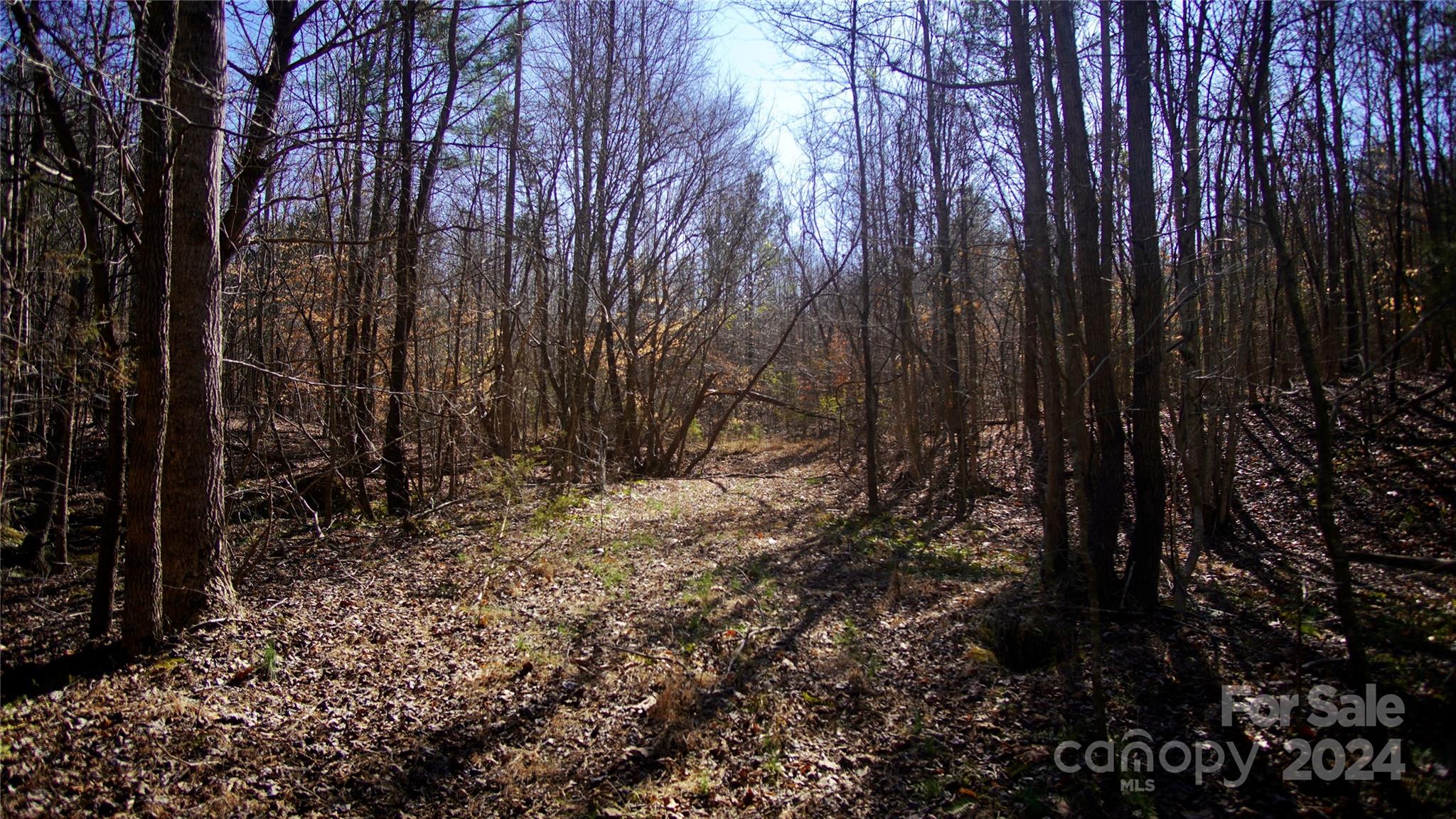 321 Sandifer Road York, SC 29745 - Photo 12 of 23 Gallery Image 12