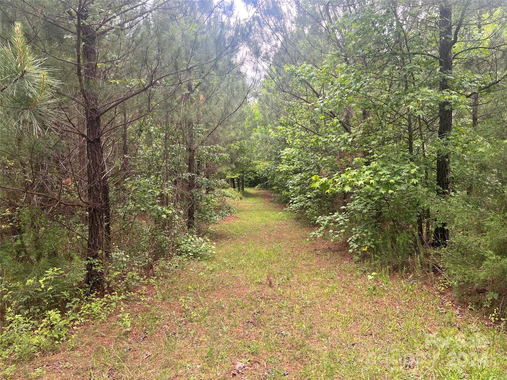 321 Sandifer Road York, SC 29745 - Photo 14 of 23 Gallery Image 14