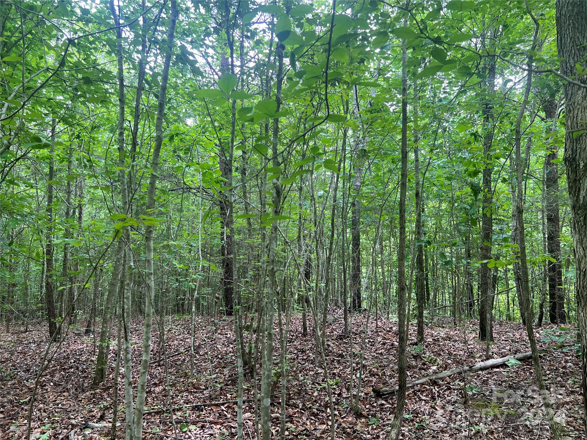 321 Sandifer Road York, SC 29745 - Photo 23 of 23 Gallery Image 23