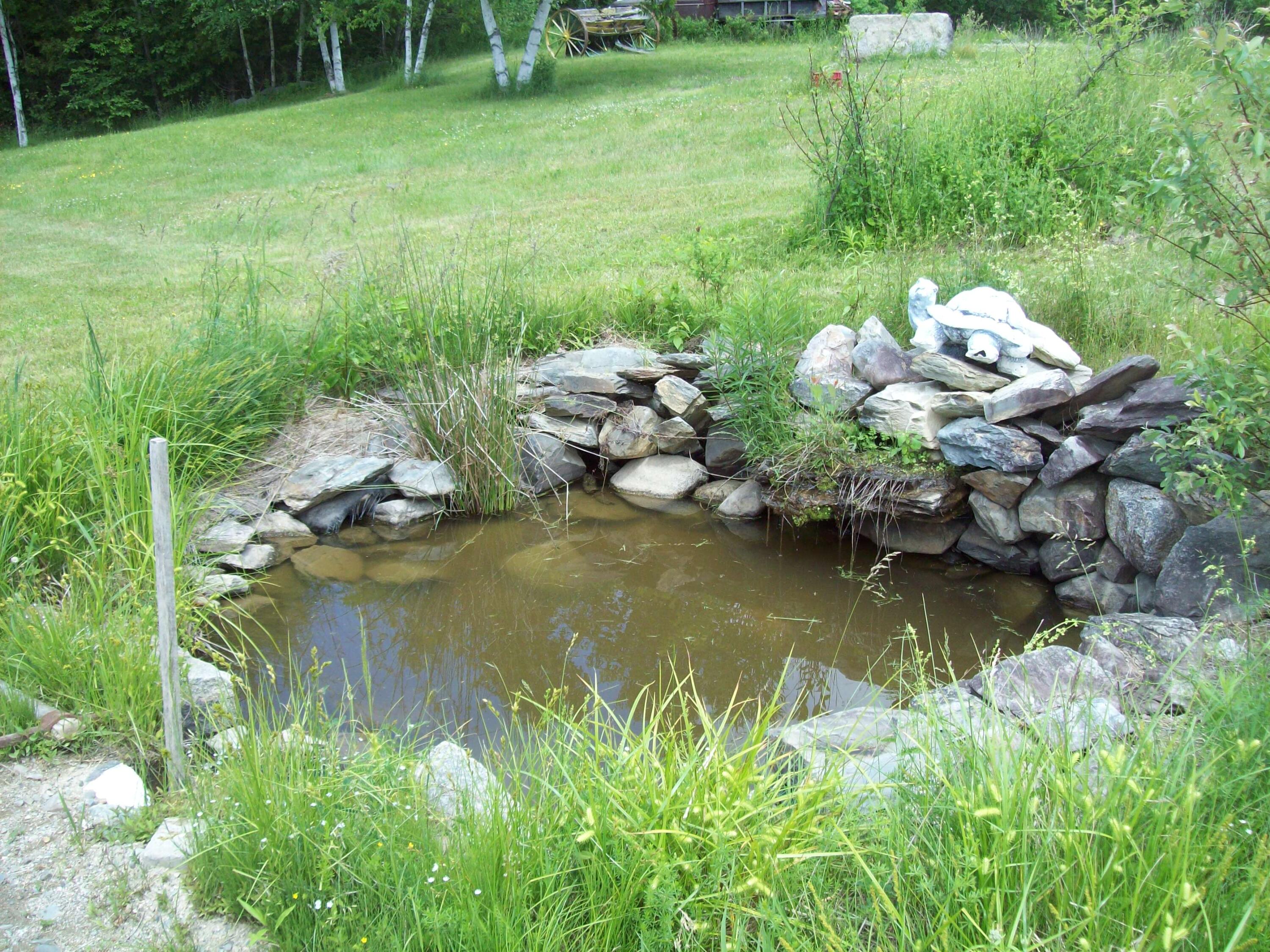 11 Military Road Winn, ME 04495 - Photo 7 of 36 100_2813