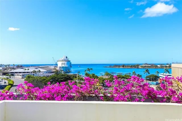 a view of a lot of flowers