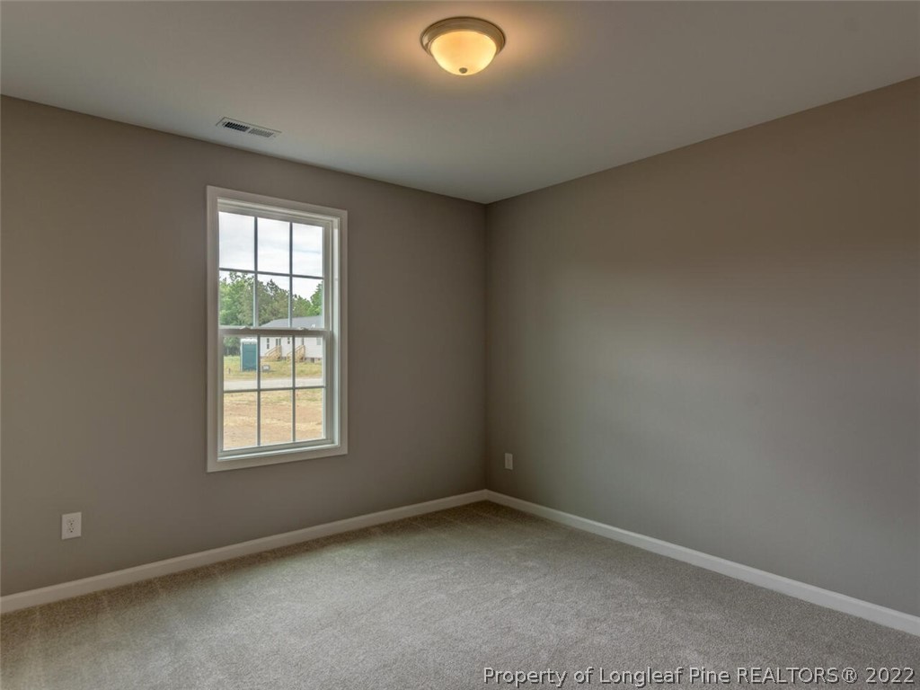66 Tyler Godwin Road Erwin, NC 28339 - Photo 17 of 25 Gallery Image 17