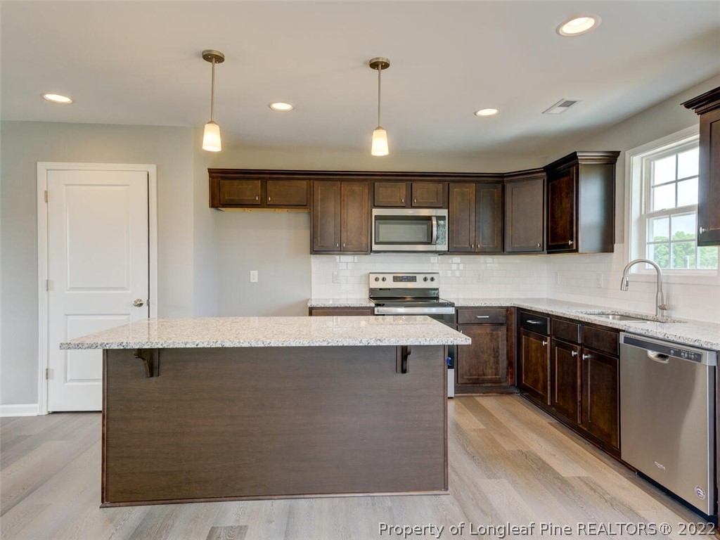 66 Tyler Godwin Road Erwin, NC 28339 - Photo 8 of 25 Gallery Image 8