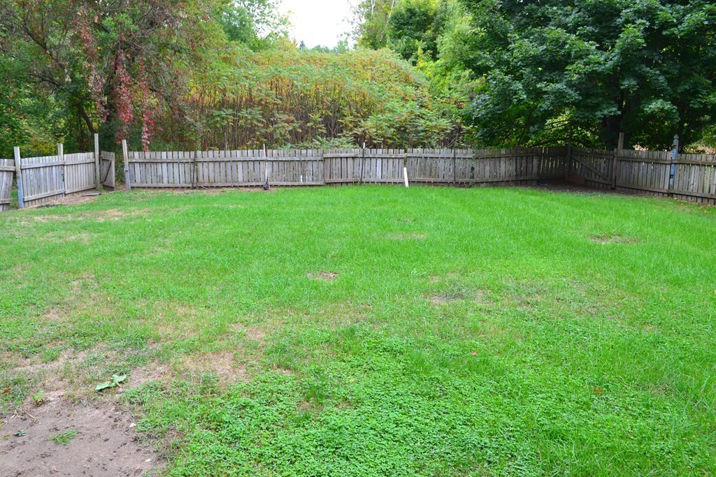 77 North Street Three Rivers, MA 01080 - Photo 16 of 20 a view of a backyard with a bench and large trees