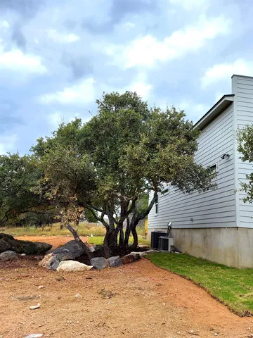 a view of a backyard with plants and large trees
