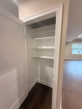 a view of an empty walk in closet