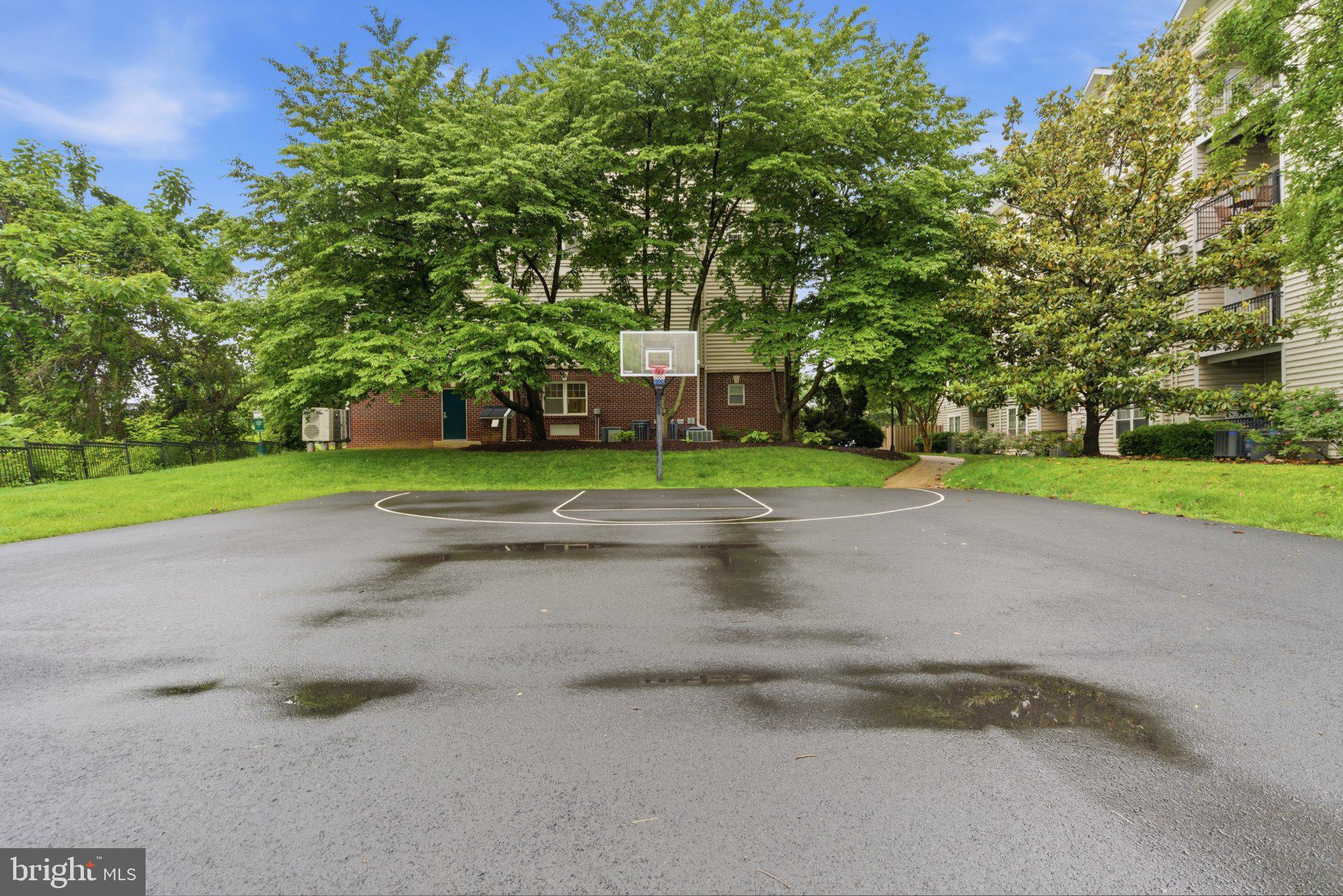 1580 Spring Gate Dr., Unit 4303 McLean, VA 22102 - Photo 31 of 41 Serene basketball court oasis
