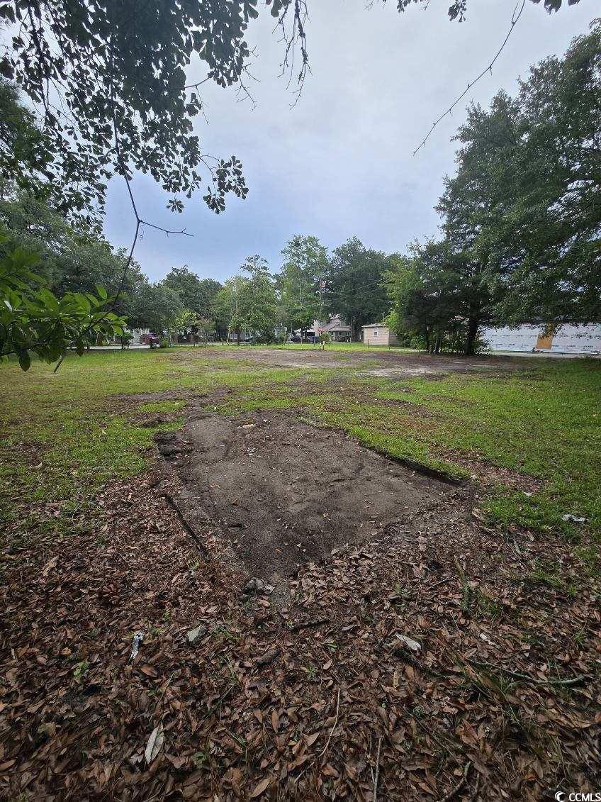 1001 Whittemore Street Conway, SC 29527 - Photo 3 of 5 View of yard