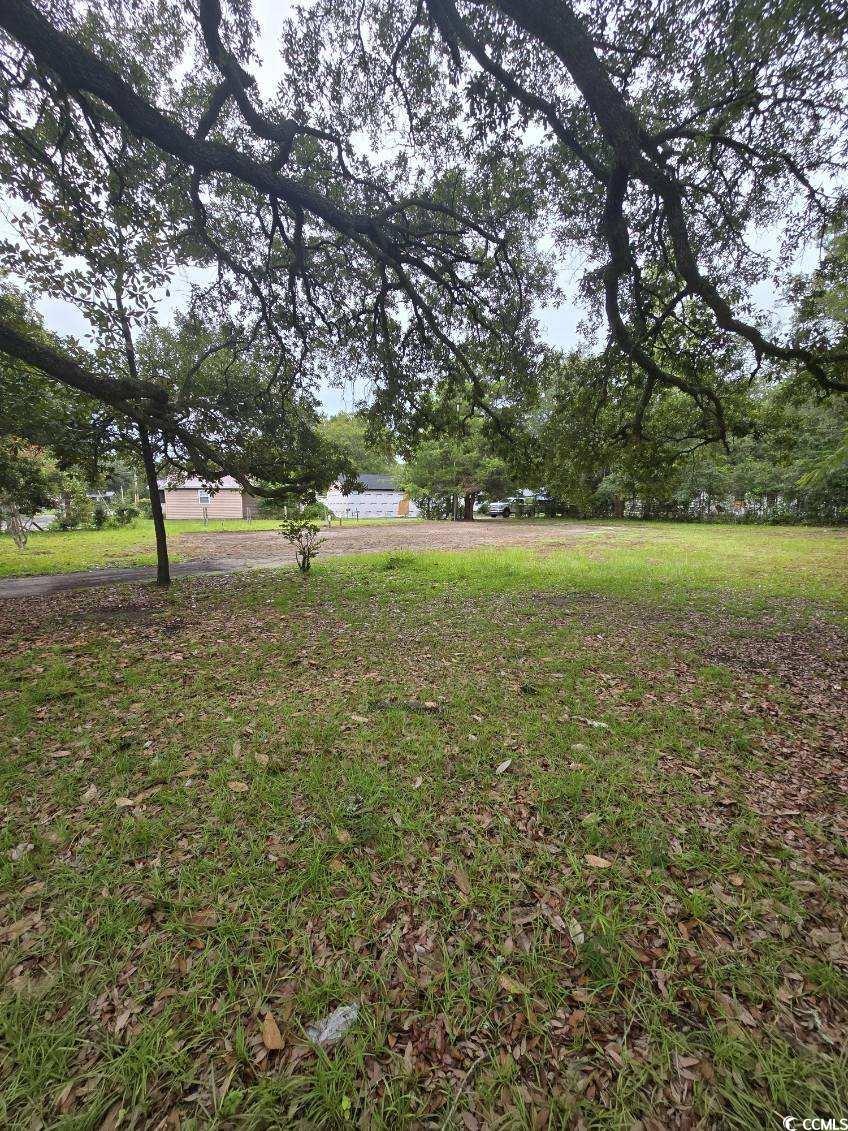 1001 Whittemore Street Conway, SC 29527 - Photo 4 of 5 View of yard