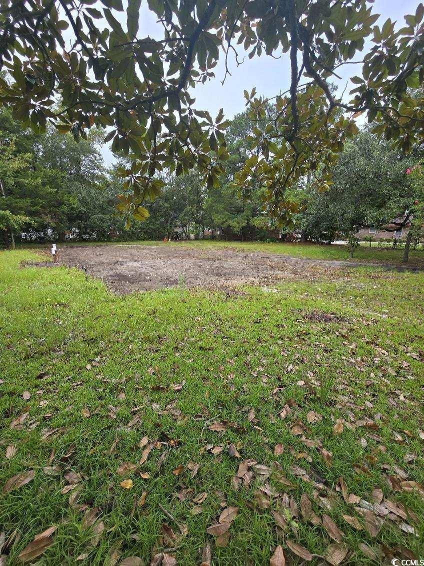 1001 Whittemore Street Conway, SC 29527 - Photo 5 of 5 View of yard
