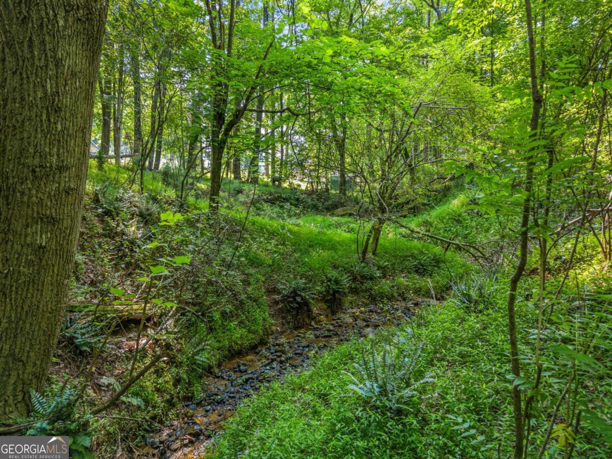 240 Brock Trail, Unit 4 Milton, GA 30004 - Photo 31 of 31 a view of a lush green forest